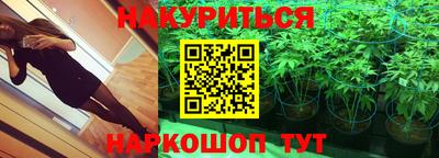PSILOCYBIN Гудермес